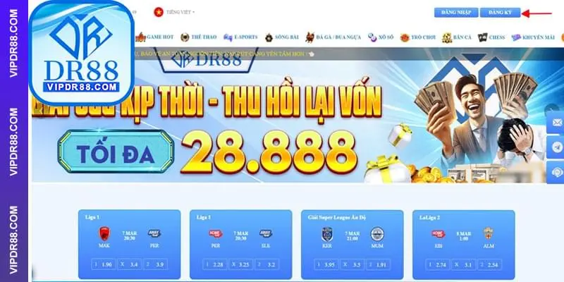 Thông báo DMCA và Thủ tục Khiếu nại Vi phạm Bản quyền